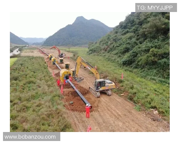 数据分析：液化天然气运输速度的全面评估与趋势研究